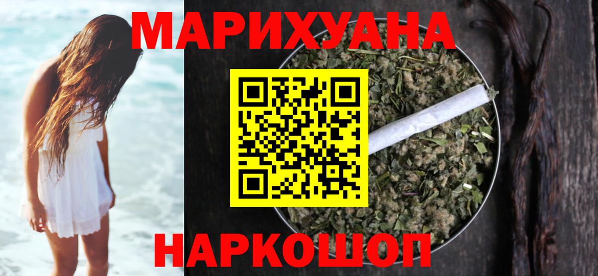 Конопля конопля Майский